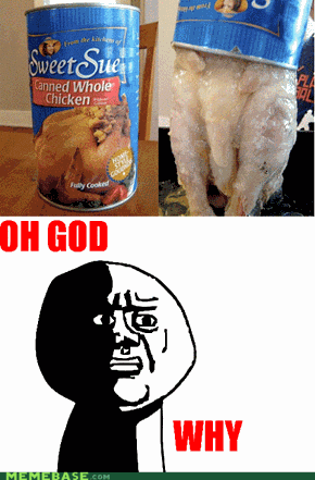 I Accidentally an Entire Chicken