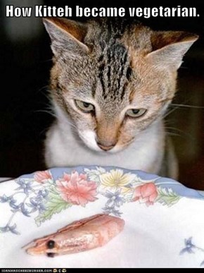 How Kitteh became vegetarian.