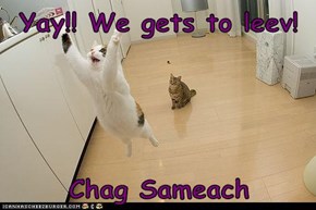 Yay!! We gets to leev!   Chag Sameach