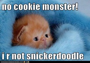 no cookie monster!  i r not snickerdoodle