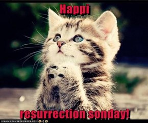 Happi  resurrection sonday!