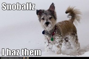 Snoballz  I haz them