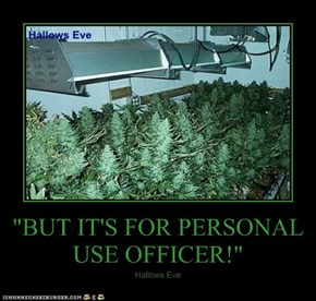 "BUT IT'S FOR PERSONAL USE OFFICER!"