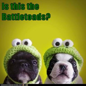 Is this the Battletoads?