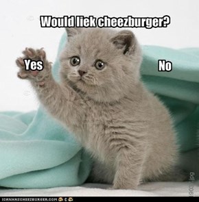 Cheezburger choice