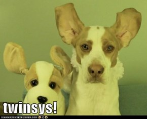 twinsys!