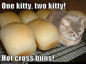 One kitty, two kitty!  Hot cross buns!