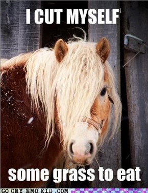 Emo Horse