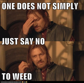 ONE DOES NOT SIMPLY JUST SAY NO TO WEED