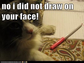 no i did not draw on your face!