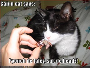 Cajun cat says:  Pyonch de talez, suk de headz!