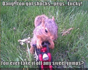 Dang! You got shocks...pegs...Lucky!  You ever take it off any sweet jumps?