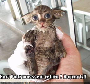   Hary Pottr musssent return 2 Hogwartz!!