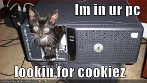 Im in ur pc  lookin for cookiez