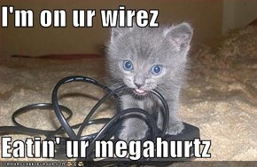 I'm on ur wirez  Eatin' ur megahurtz