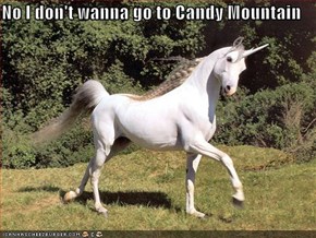 No I don't wanna go to Candy Mountain  