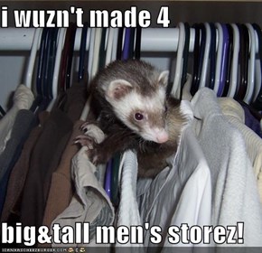 i wuzn't made 4  big&tall men's storez!