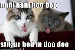 nani nani boo boo  stik ur hed in doo doo
