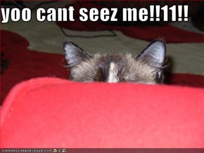 yoo cant seez me!!11!!  