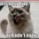 maziecat