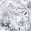 wolf_spirit