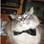 MisterFluffykins