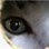 MiteyMouse
