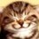 CheshireKittehKat