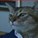 glaringkitteh's avatar