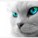 ceblue's avatar