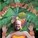 Caffinehog's avatar