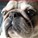 puggal's avatar