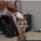 lovemyvampkat's avatar