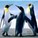 waddlefeet's avatar