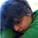 Bluelunar's avatar