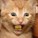MyAccountName's avatar