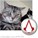 lolcat112's avatar