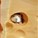 jewel721's avatar