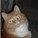 LOLMewmew's avatar