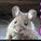 mouse290's avatar