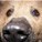 KittiHello's avatar