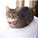 op_sMama's avatar