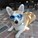 trollingtomcat's avatar