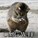 CryogenicCat's avatar