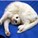 slinkycatz's avatar