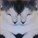 meeyauw's avatar