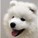 animallover7310's avatar