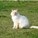 wawynn's avatar