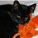 smudgie05's avatar