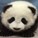hopealley's avatar